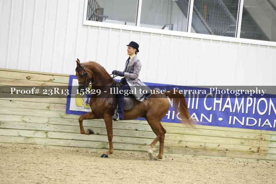 Proof 23R13_15829