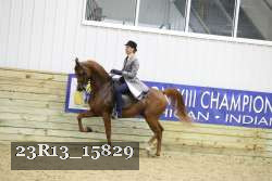23R13_15829 proof