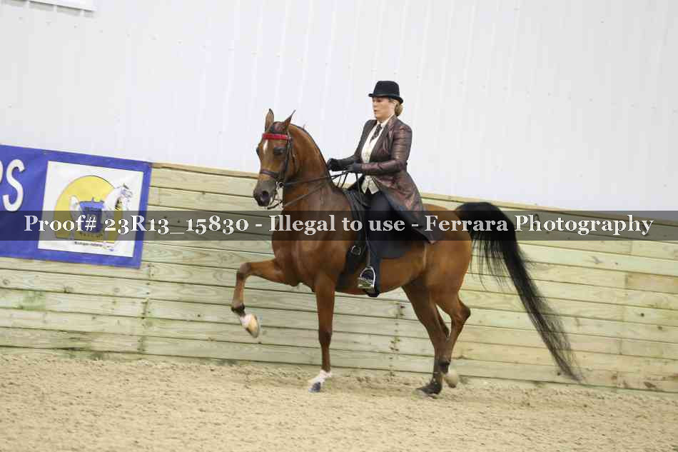 Proof 23R13_15830