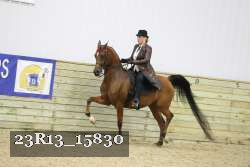 23R13_15830 proof
