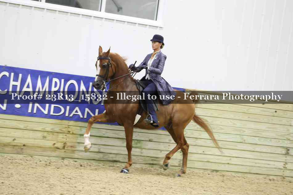 Proof 23R13_15832