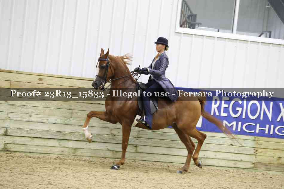 Proof 23R13_15833