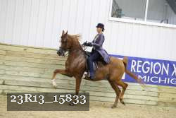 23R13_15833 proof