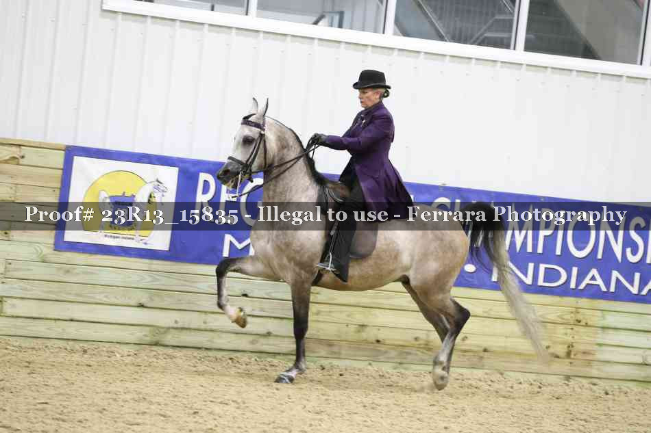Proof 23R13_15835