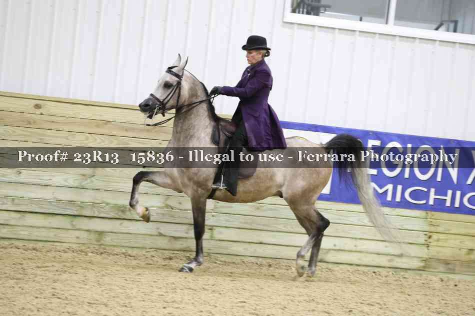 Proof 23R13_15836