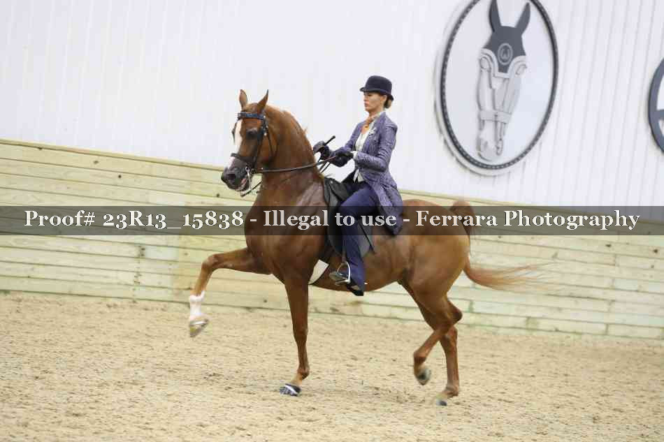 Proof 23R13_15838