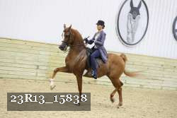 23R13_15838 proof