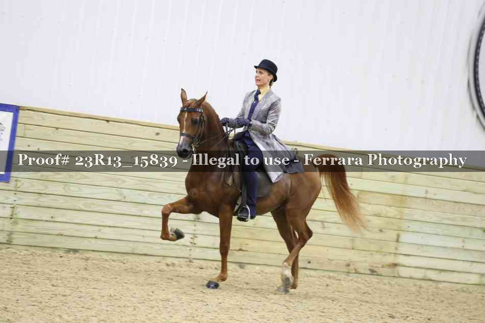 Proof 23R13_15839