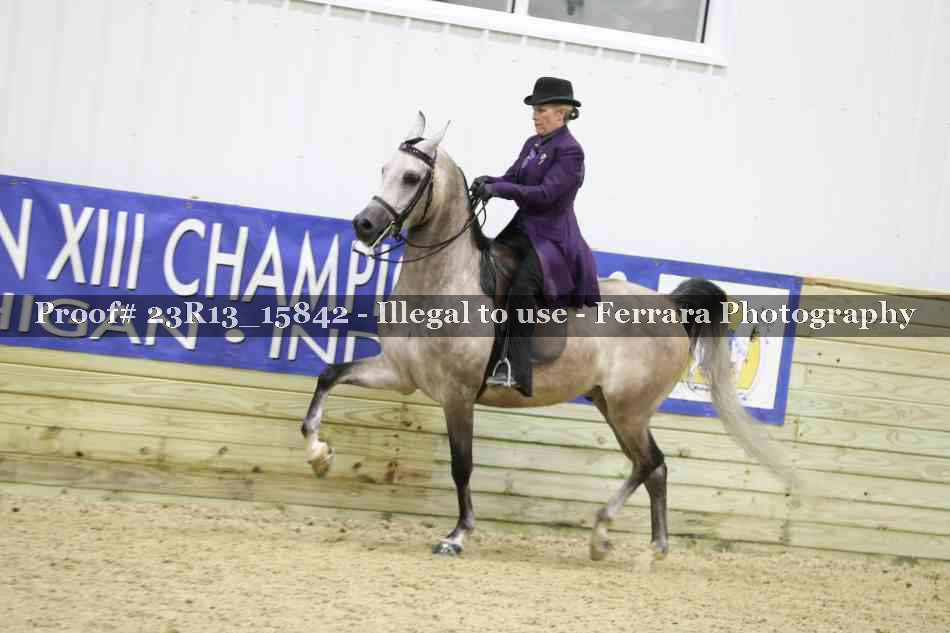 Proof 23R13_15842