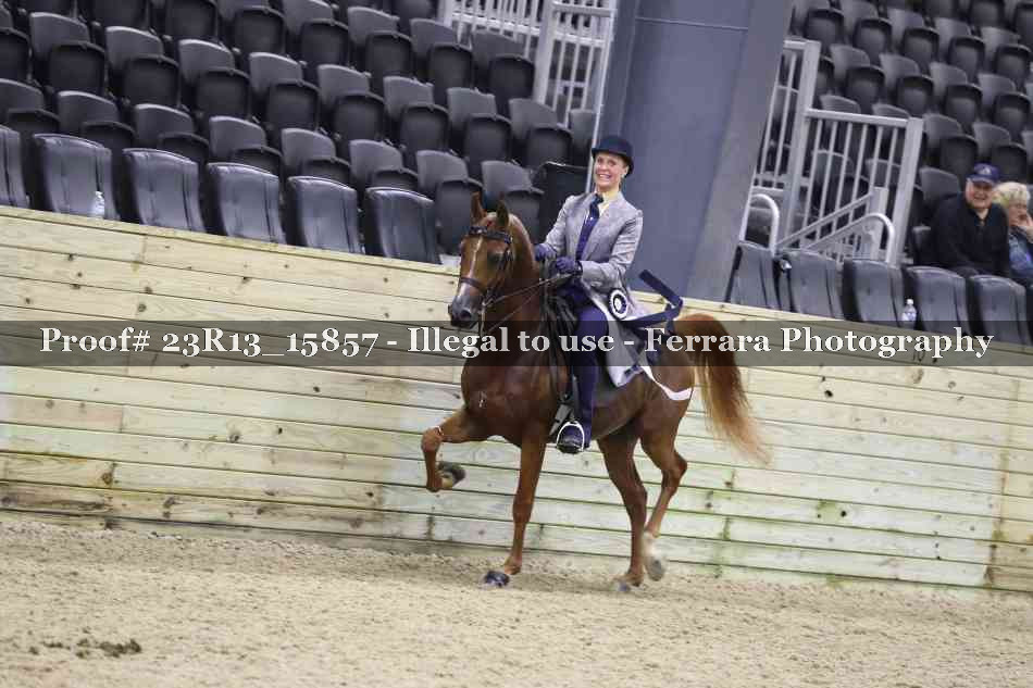 Proof 23R13_15857