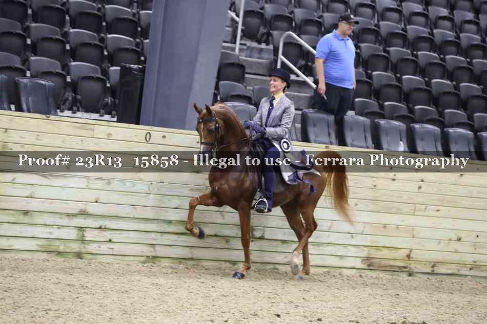 Proof 23R13_15858
