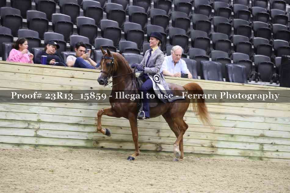Proof 23R13_15859