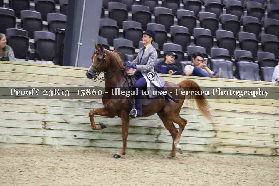 Proof 23R13_15860