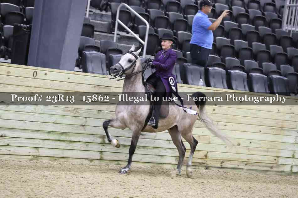 Proof 23R13_15862