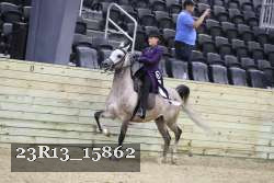 23R13_15862 proof