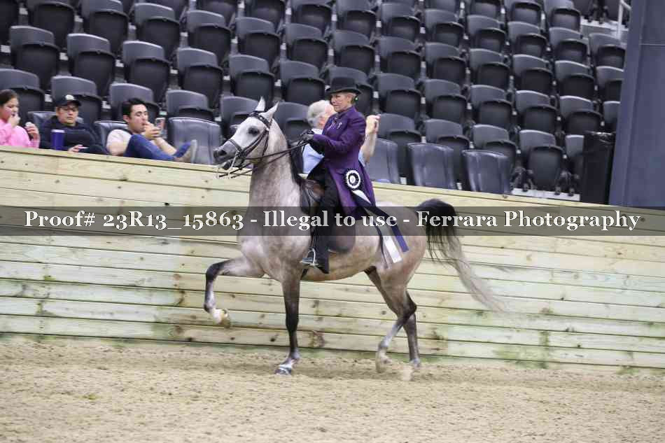 Proof 23R13_15863
