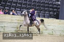23R13_15863 proof