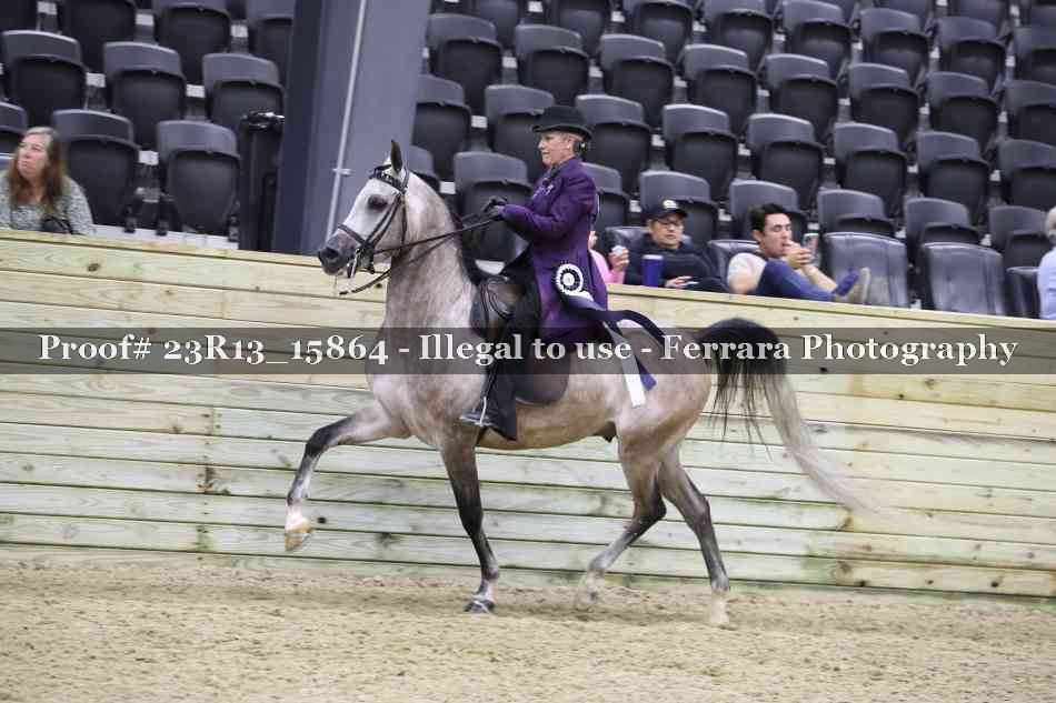Proof 23R13_15864