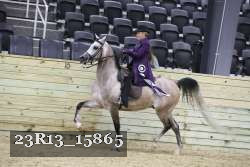 23R13_15865 proof