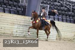 23R13_15866 proof