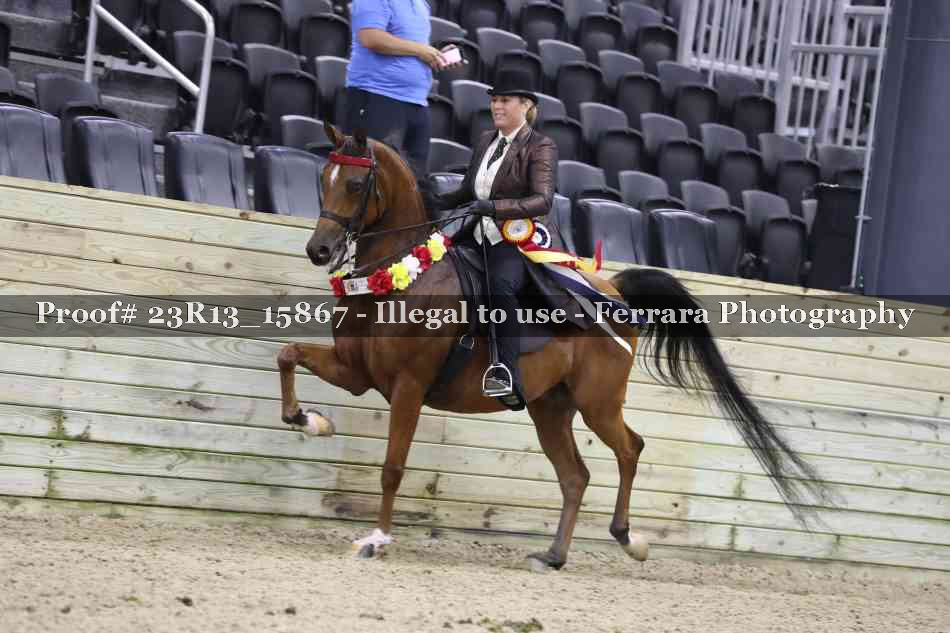 Proof 23R13_15867