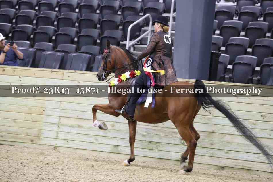 Proof 23R13_15871