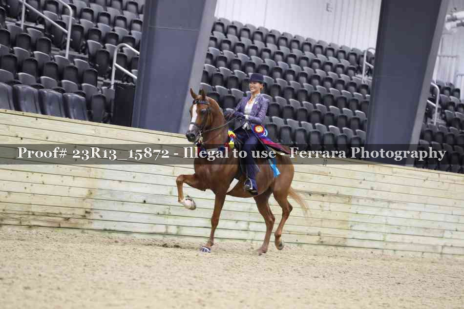 Proof 23R13_15872