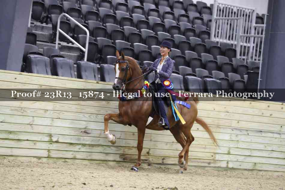 Proof 23R13_15874