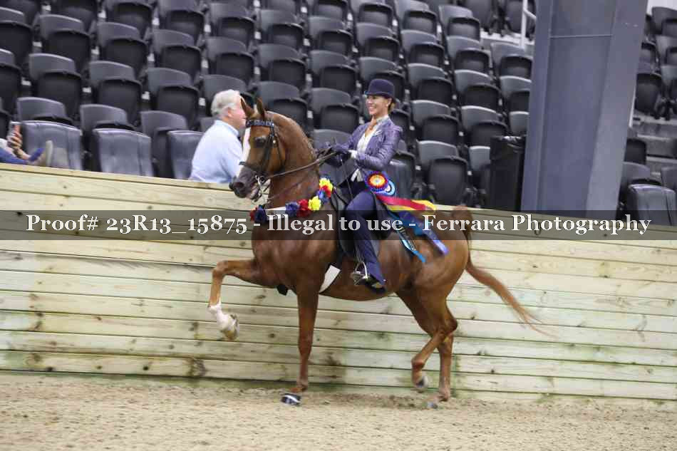 Proof 23R13_15875