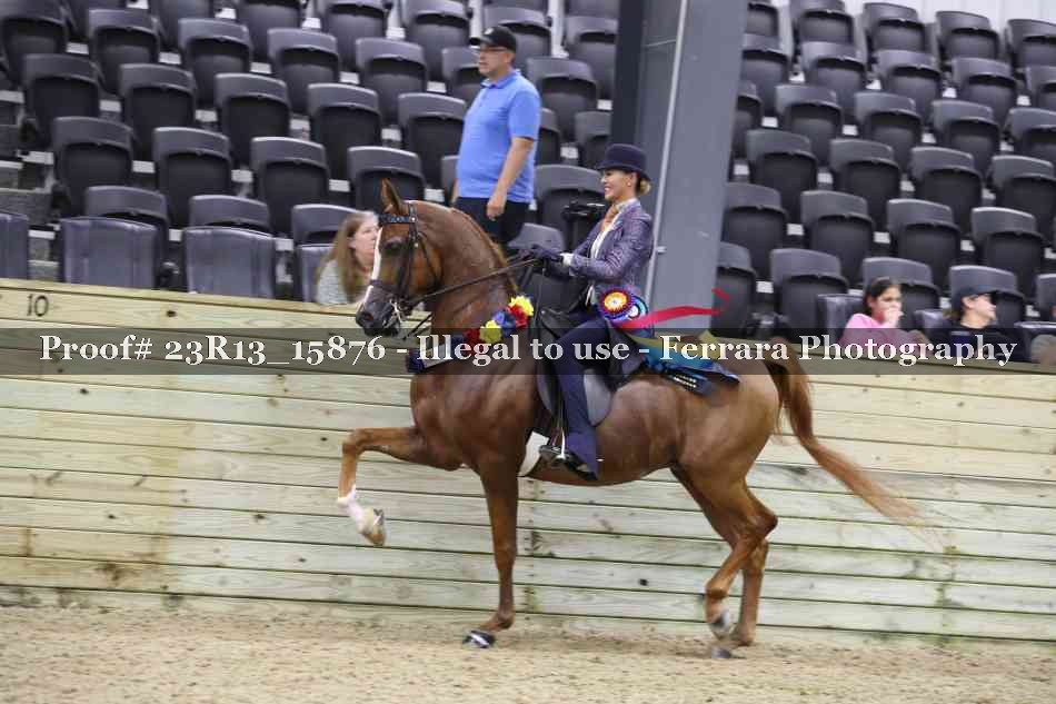 Proof 23R13_15876