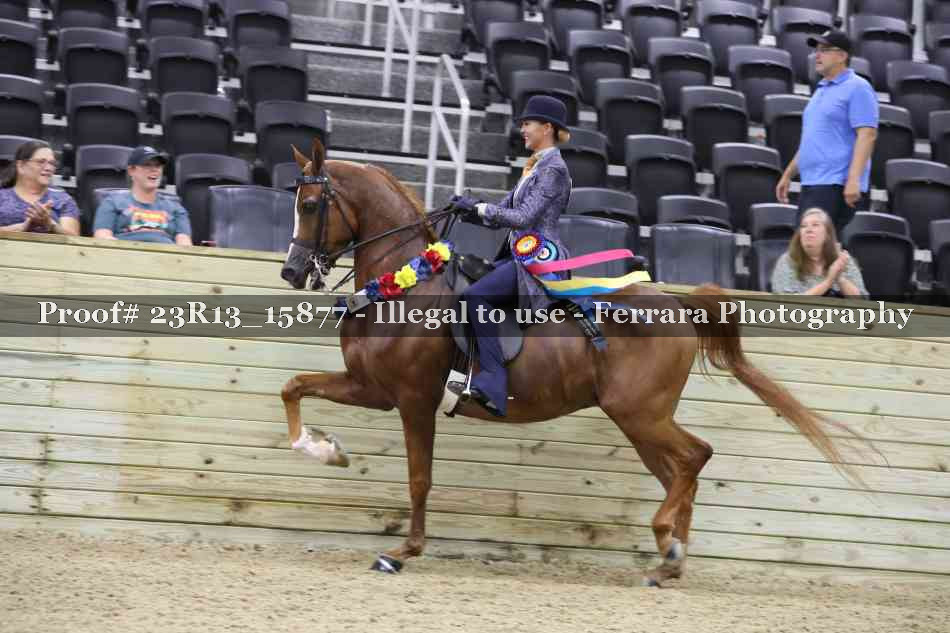 Proof 23R13_15877