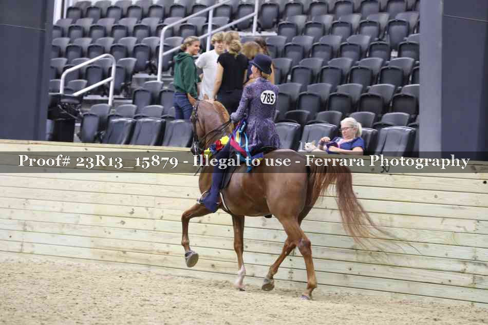 Proof 23R13_15879