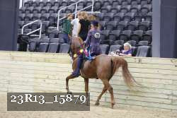 23R13_15879 proof