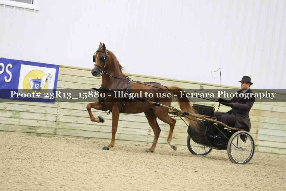 Proof 23R13_15880