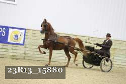 23R13_15880 proof