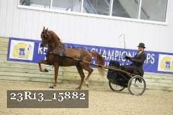 23R13_15882 proof