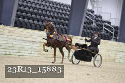 23R13_15883 proof