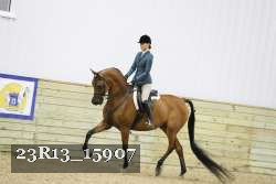 23R13_15907 proof