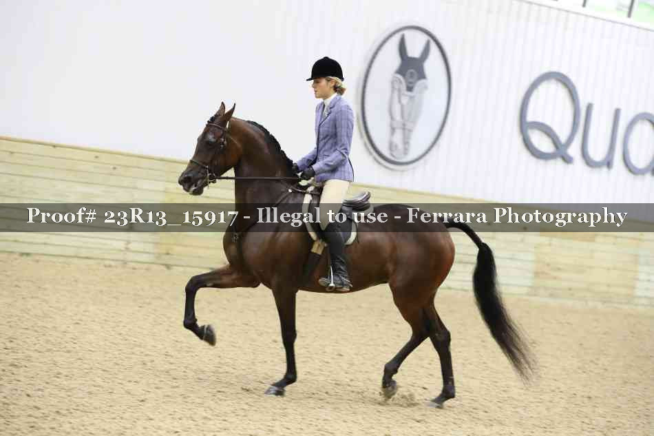 Proof 23R13_15917