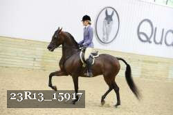 23R13_15917 proof