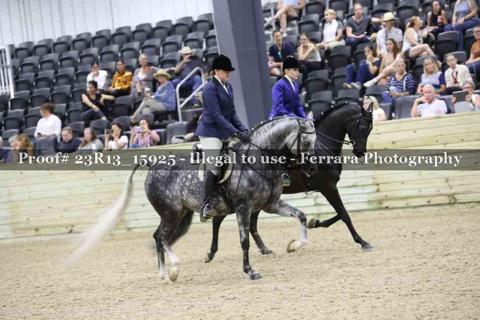 Proof 23R13_15925