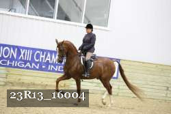 23R13_16004 proof