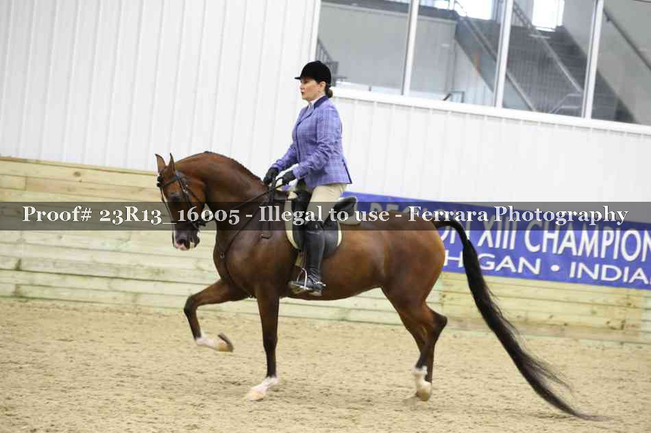 Proof 23R13_16005