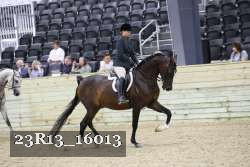 23R13_16013 proof
