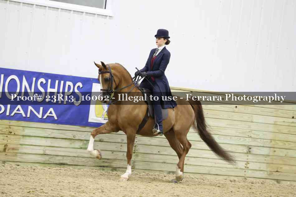Proof 23R13_16062