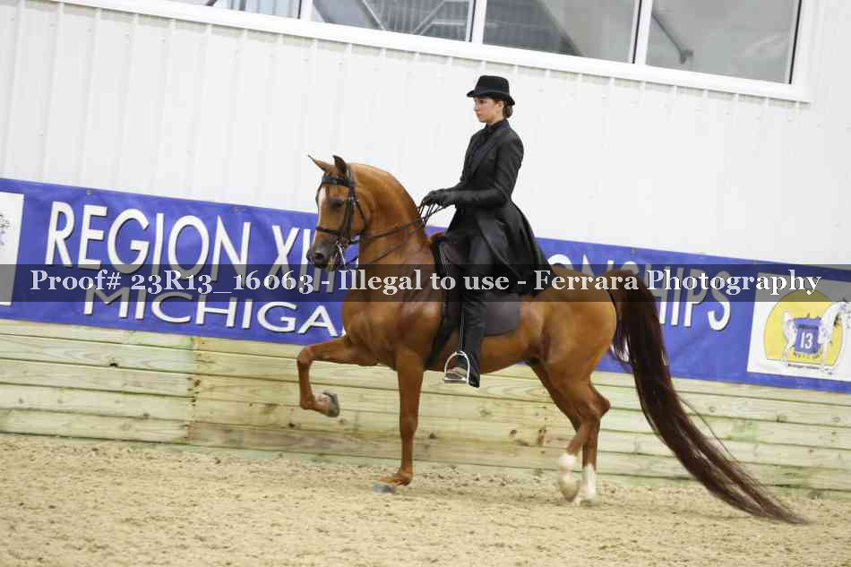 Proof 23R13_16063
