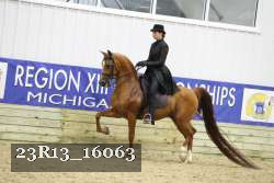 23R13_16063 proof