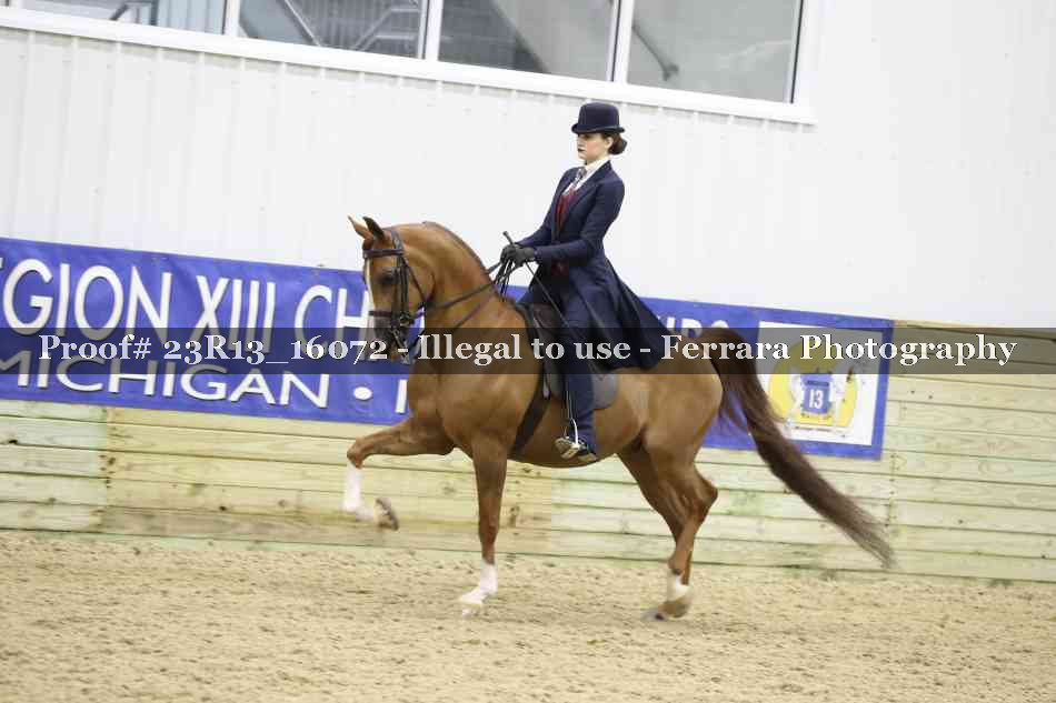 Proof 23R13_16072