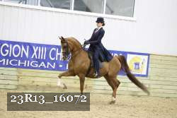 23R13_16072 proof