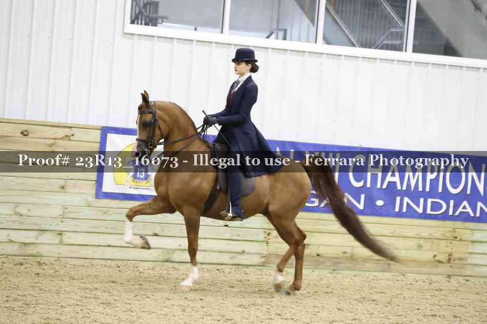 Proof 23R13_16073